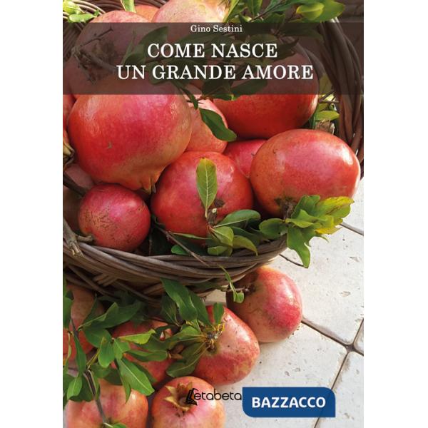 Come nasce un grande amore