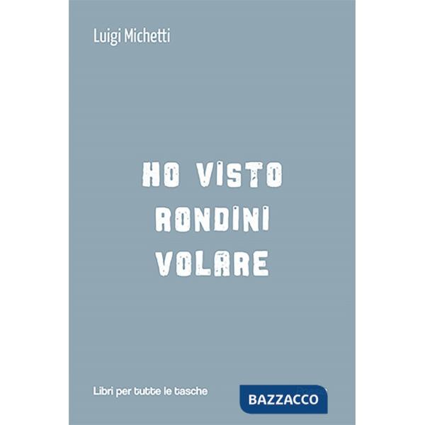 Ho visto rondini volare