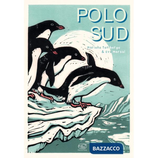 Polo Sud