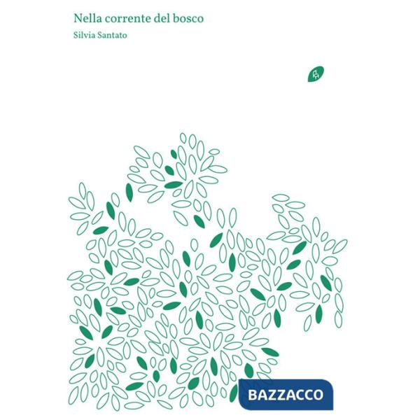 Nella corrente del bosco. Ediz. illustrata