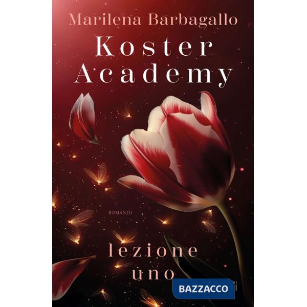 Koster Academy. Lezione uno