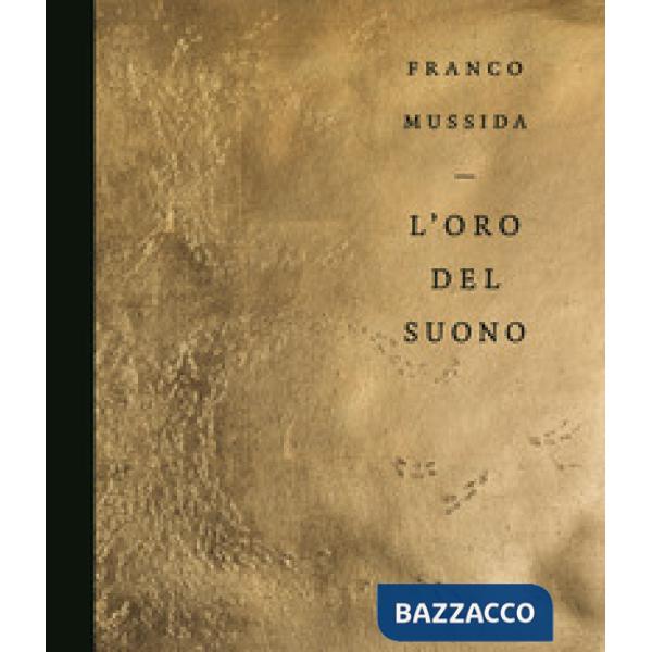 Franco Mussida. L'oro del suono. Ediz. illustrata
