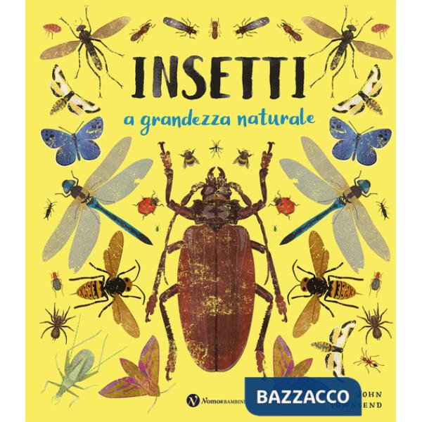 Insetti. A grandezza naturale. Ediz. a colori
