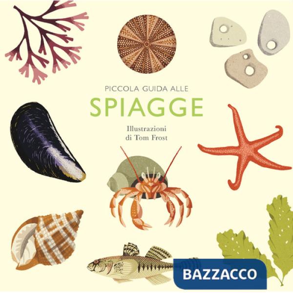 Piccola guida alle spiagge