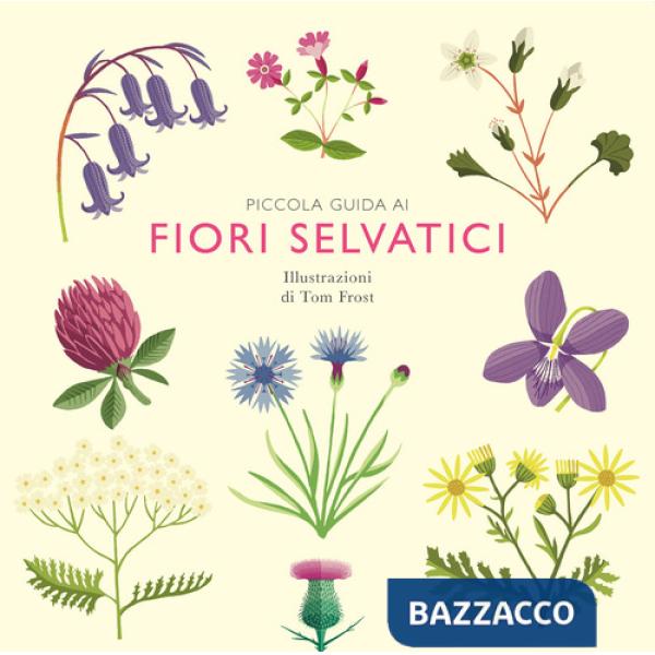 Piccola guida ai fiori selvatici
