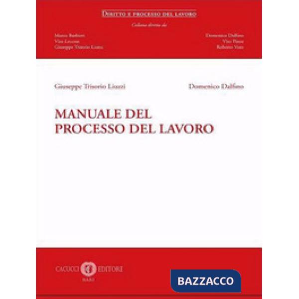 Manuale del processo del lavoro
