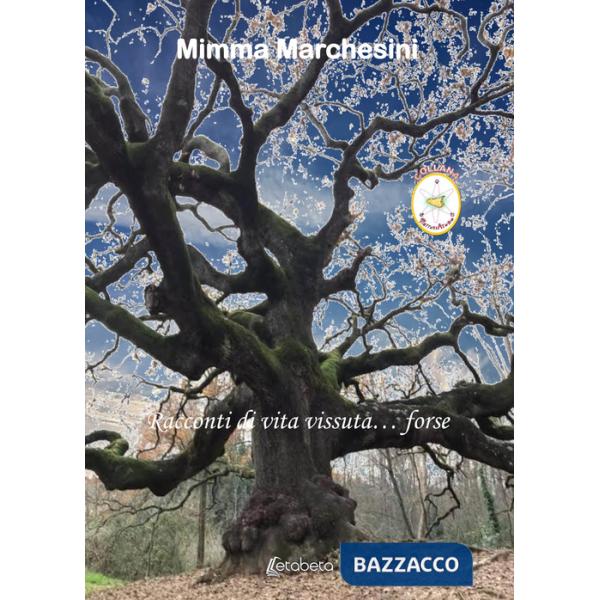 Racconti di vita vissuta... forse