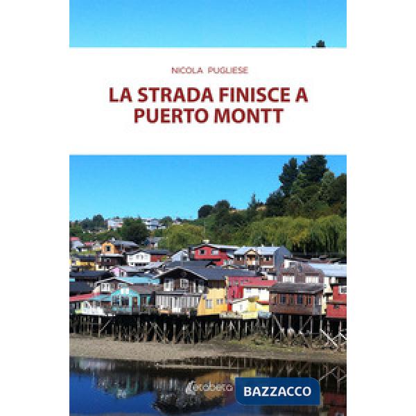 Strada finisce a Puerto Montt (La)