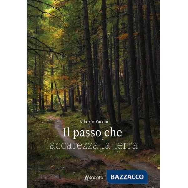 Passo che accarezza la terra (Il)
