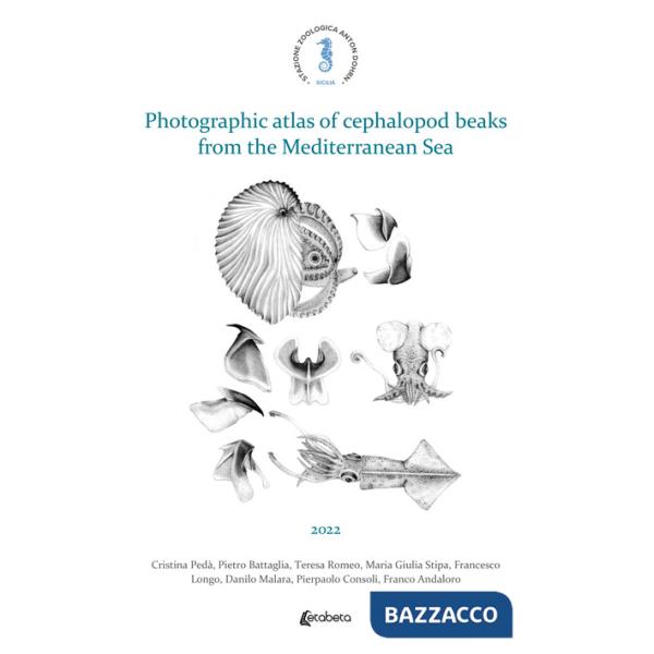 Photographic atlas of cephalopod beaks from the Mediterranean Sea
