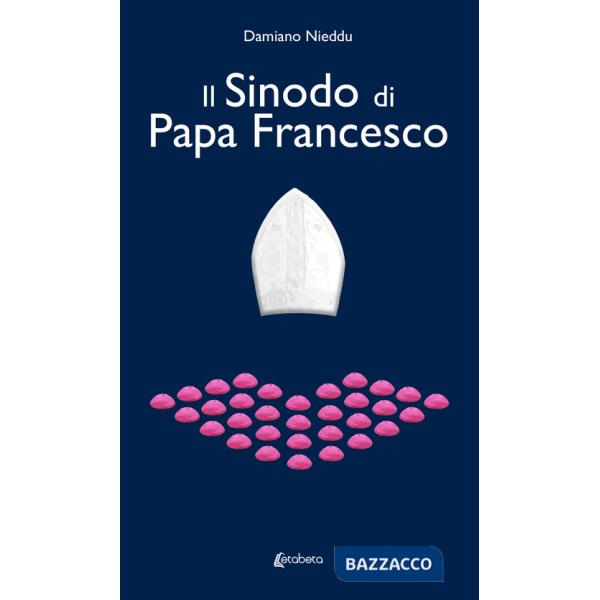 Sinodo di Papa Francesco (Il)
