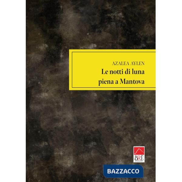 Notti di luna piena a Mantova (Le)