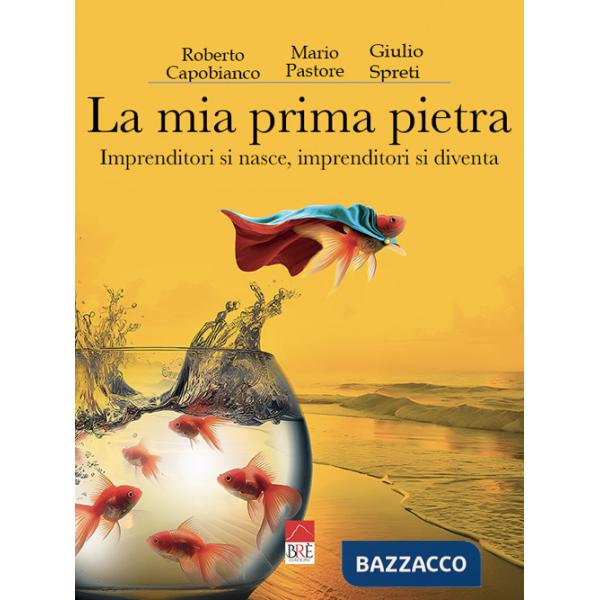 Mia prima pietra. Imprenditori si nasce, imprenditori si diventa (La)