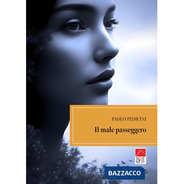Male passeggero (Il)