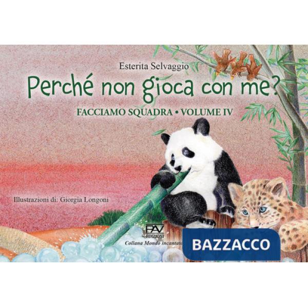 Facciamo squadra. Vol. 4: Perché non gioca con me?