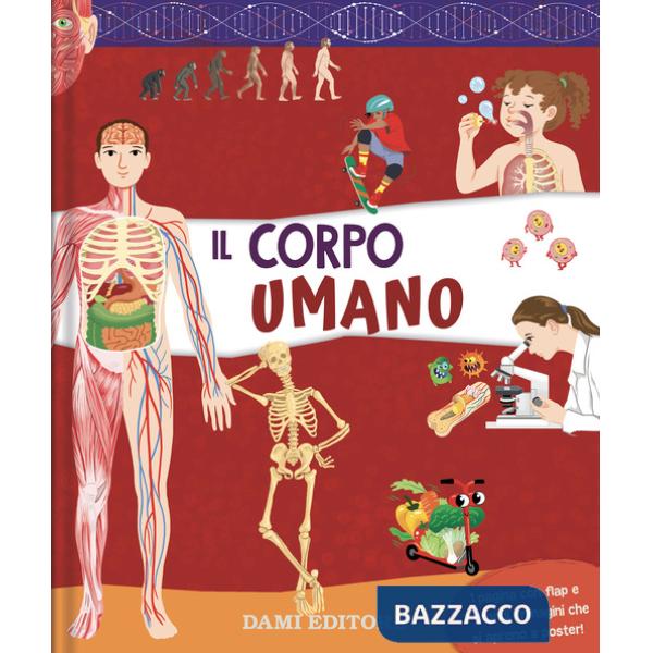 Corpo umano. Ediz. a colori (Il)