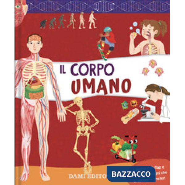 Corpo umano. Ediz. a colori (Il)