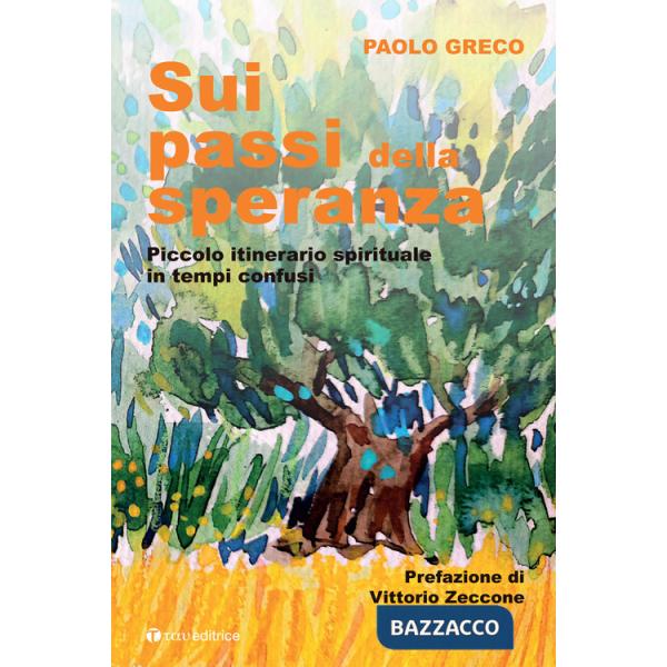 Sui passi della speranza. Piccolo itinerario spirituale in tempi confusi