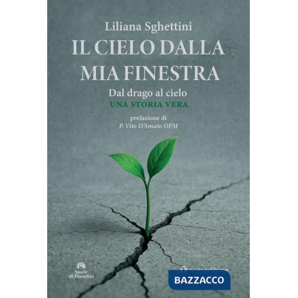 Cielo dalla mia finestra (Il)