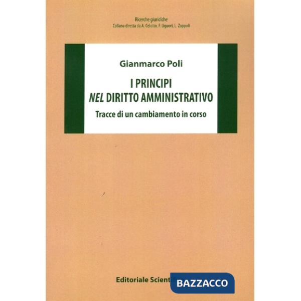 PRINCIPI NEL DIRITTO AMMINISTRATIVO