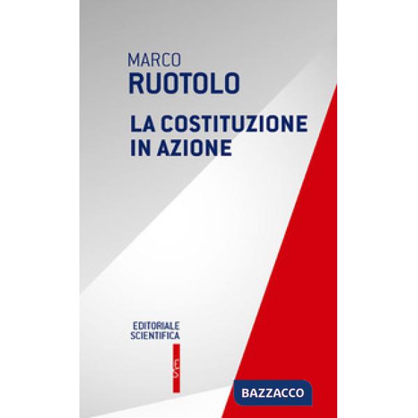 La Costituzione in azione