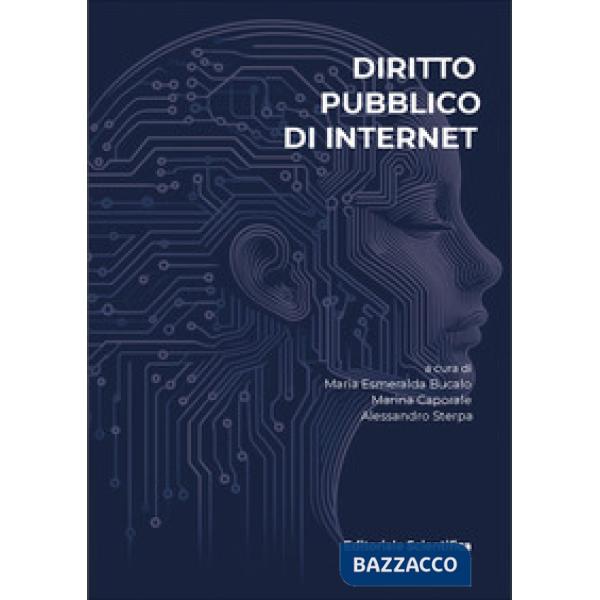 Diritto pubblico di Internet