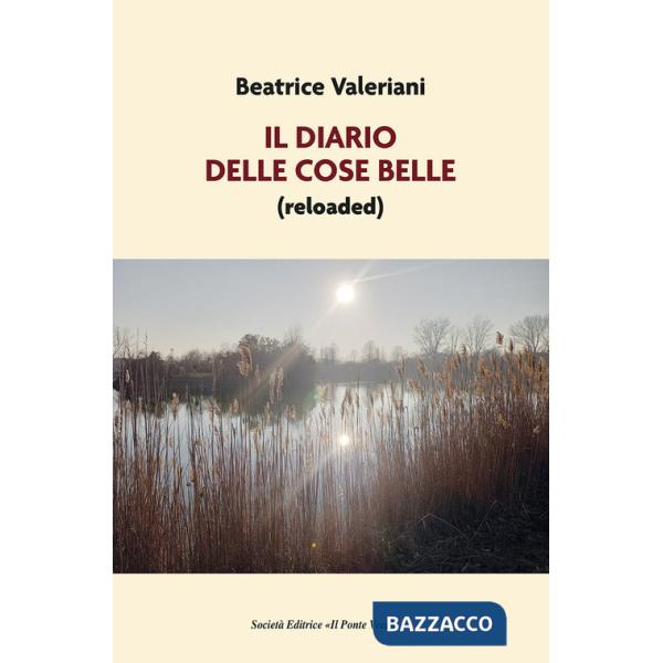 Diario delle cose belle (reloaded) (Il)