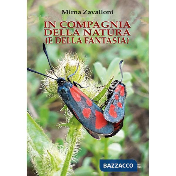 In compagnia della natura (e della fantasia). Ediz. illustrata