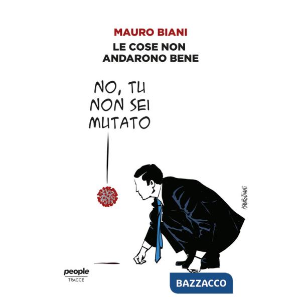 Cose non andarono bene (Le)