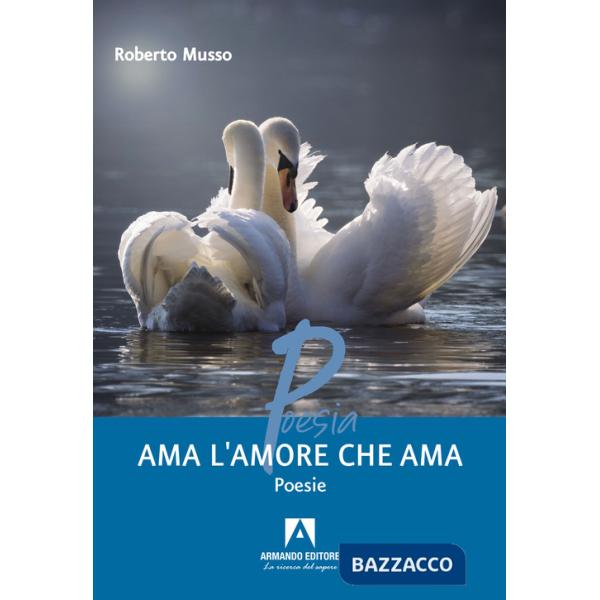 Ama l'amore che ama