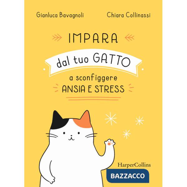 Impara dal tuo gatto a sconfiggere ansia e stress