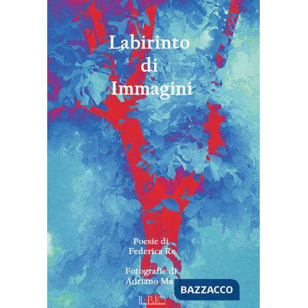 Labirinto di immagini