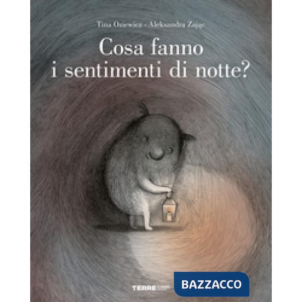 Cosa fanno i sentimenti di notte? Ediz. a colori
