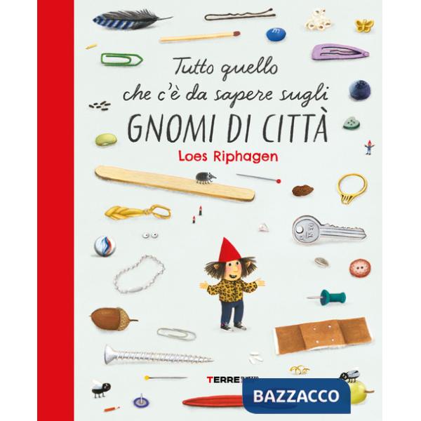 Tutto quello che c'è da sapere sugli gnomi di città. Ediz. a colori