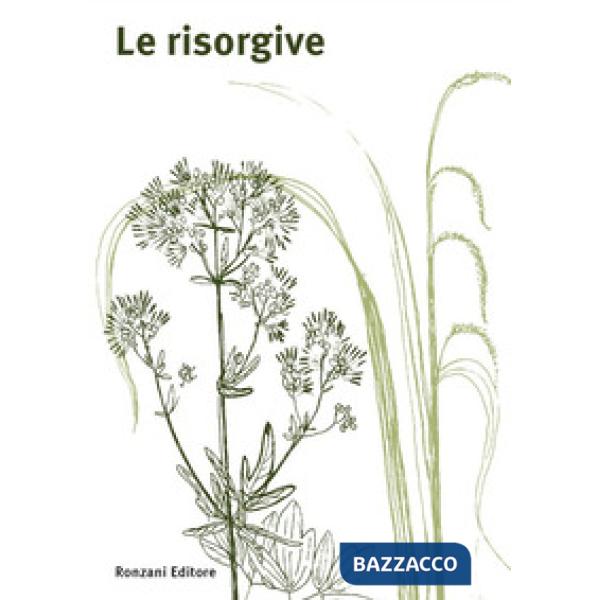 Risorgive (Le)