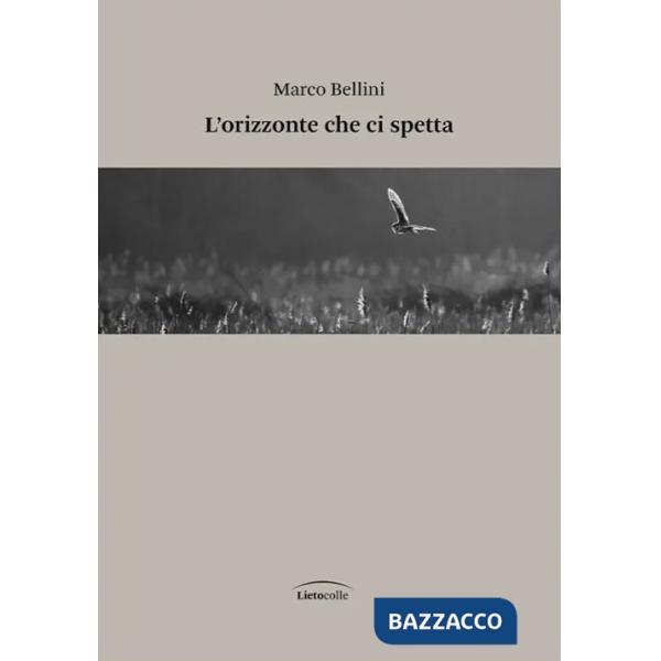 Orizzonte che ci spetta (L')