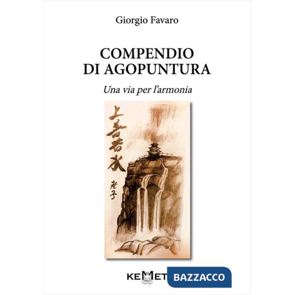 Compendio di agopuntura. Una via per l'armonia