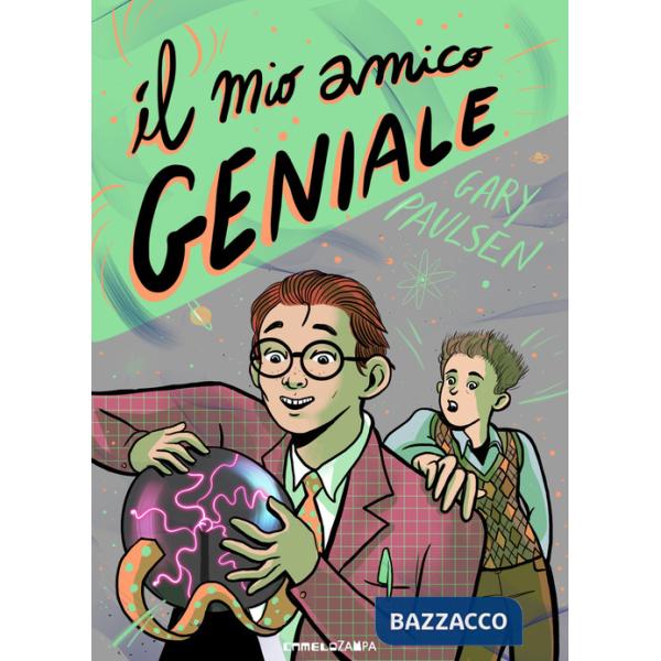 Mio amico geniale (Il)