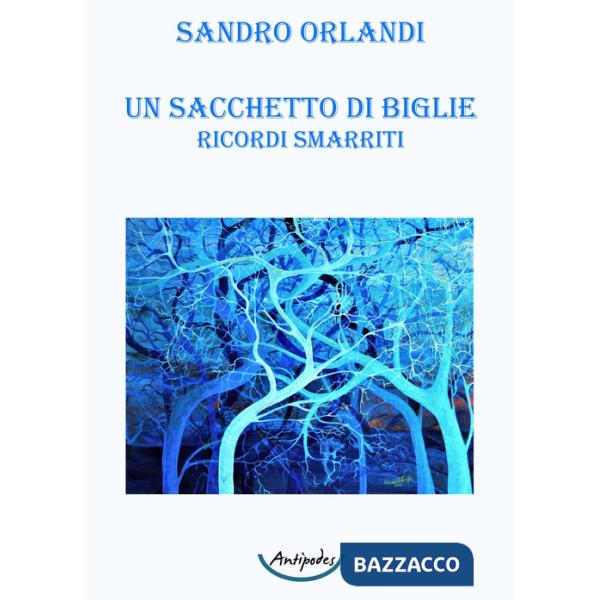 Sacchetto di biglie. Ricordi smarriti (Un)