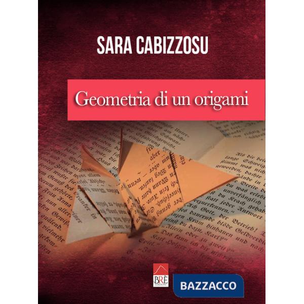 Geometria di un origami