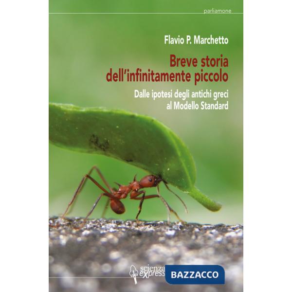 Breve storia dell'infinitamente piccolo. Vol. 1: Dalle ipotesi degli antichi greci al modello standard