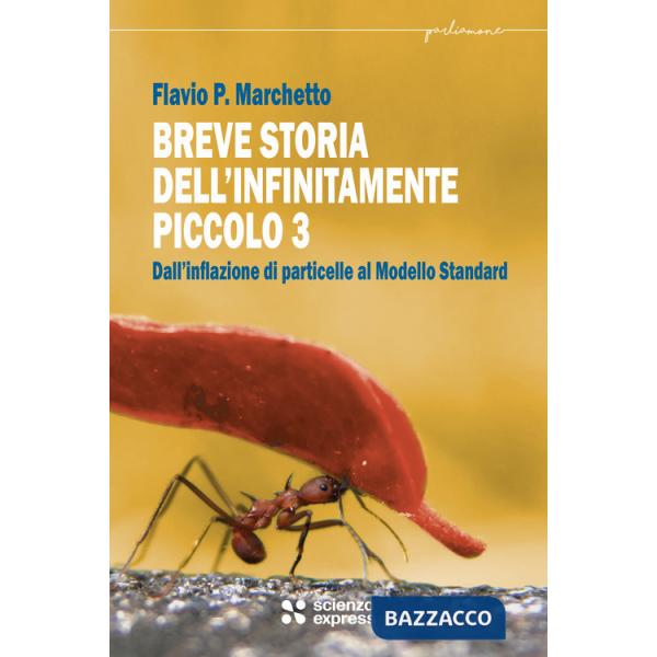 Breve storia dell'infinitamente piccolo. Vol. 3