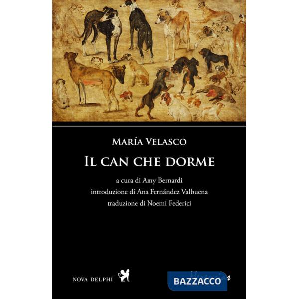 Can che dorme. Ediz. multilingue (Il)