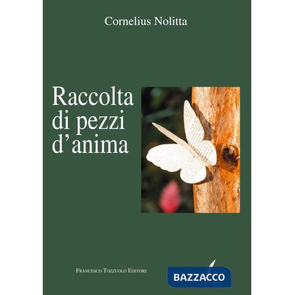 Raccolta di pezzi d'anima