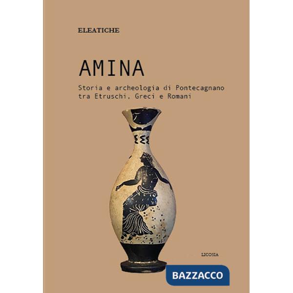 Amina. Storia e archeologia di Pontecagnano tra etruschi, greci e romani