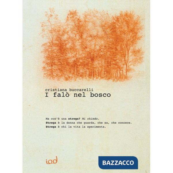 Falò nel bosco (I)