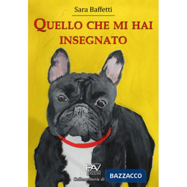 Quello che mi hai insegnato