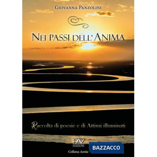 Nei passi dell'anima. Raccolta di poesie e di attimi illuminati