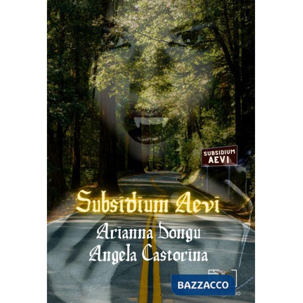 Subsidium Aevi