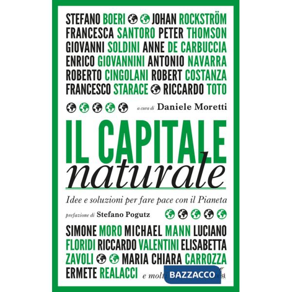 Capitale naturale. Idee e soluzioni per fare pace con il Pianeta (Il)